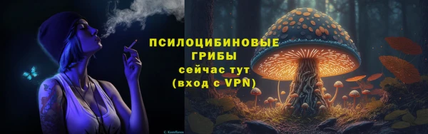 соль ск Нефтегорск