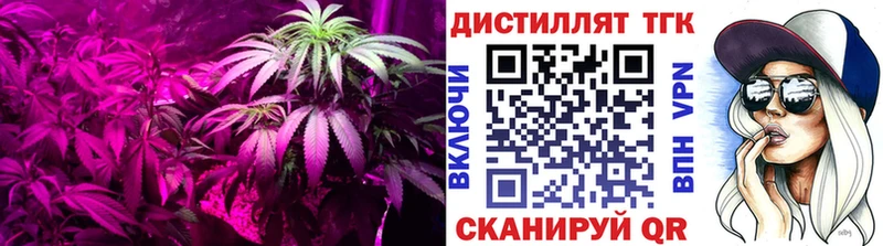 ТГК жижа  Южно-Сухокумск 