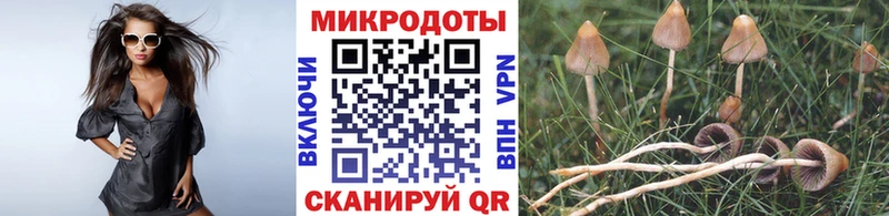 Псилоцибиновые грибы Cubensis  сколько стоит  Южно-Сухокумск 